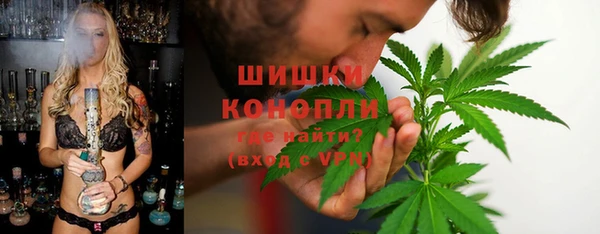 PSILOCYBIN Богородицк