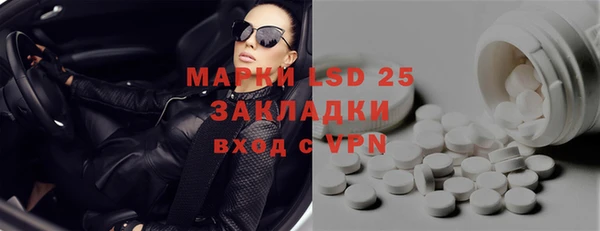 PSILOCYBIN Богородицк