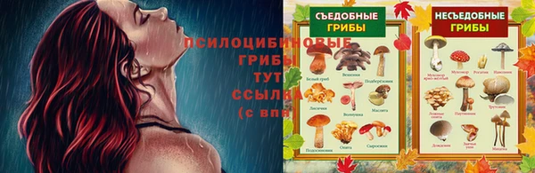 COCAINE Богданович