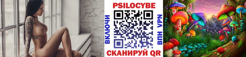 ссылка на мегу зеркало  Кизилюрт  Галлюциногенные грибы Psilocybe 