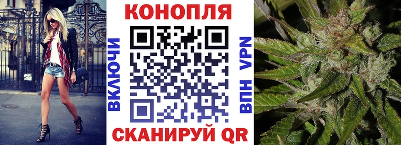 МАРИХУАНА планчик  где купить   Кизилюрт 